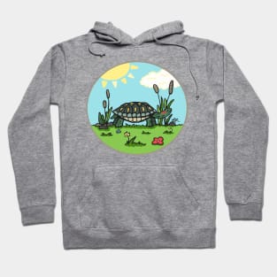 Terrific Turtle Hoodie